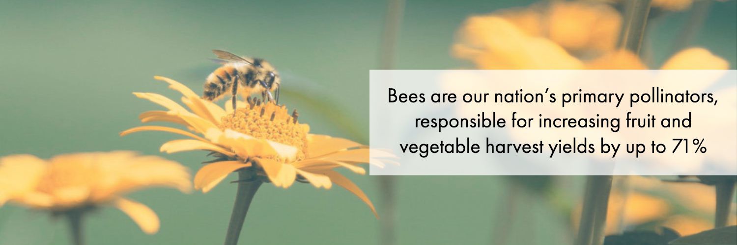 bees2.jpg